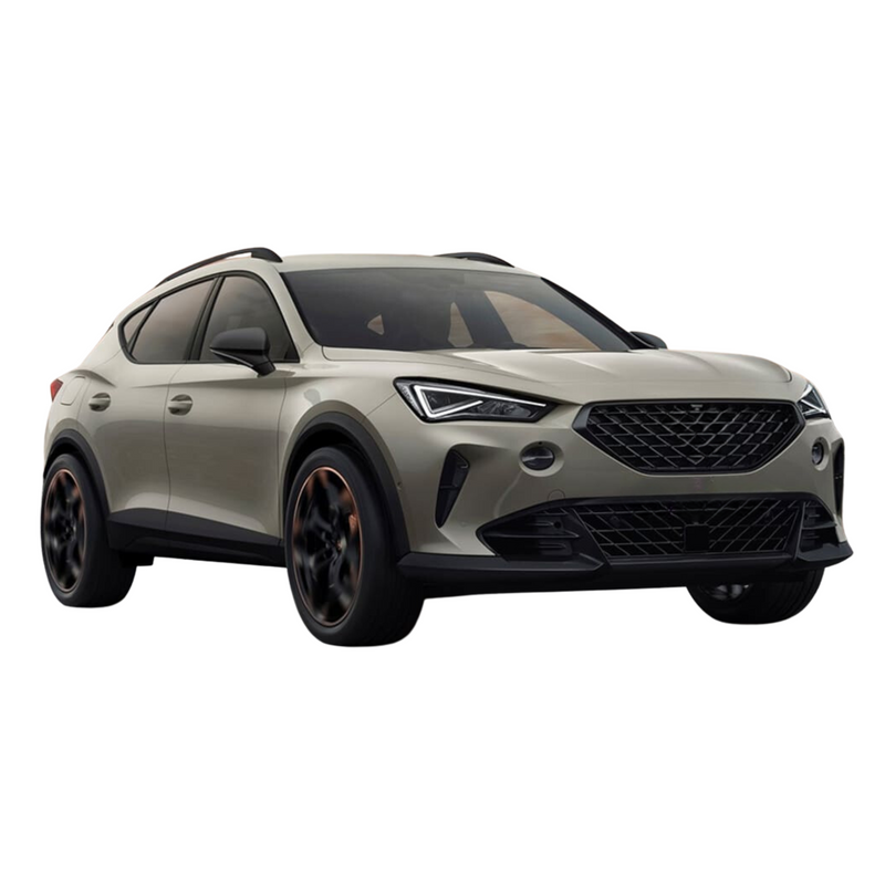 Premium Car Mats & Accessories for Cupra