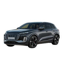 Audi Q6 SQ6 E-tron   2025 - Current