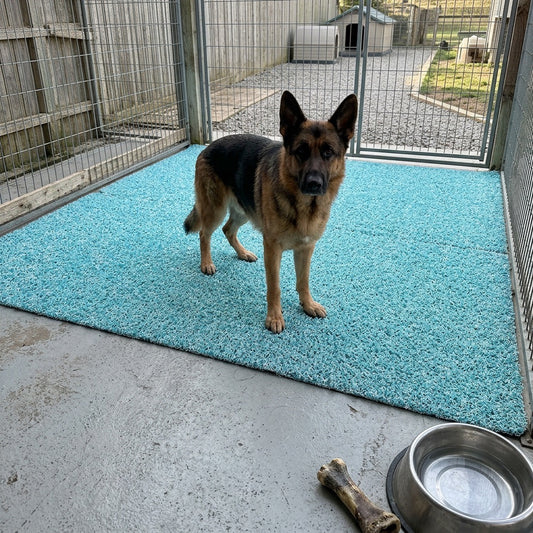 Custom Car Mats
