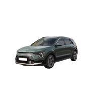 Kia Niro  2016 - 2022 (DE)
