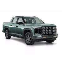 LDV Terron 9