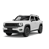 GWM Haval H7  2025 - Current