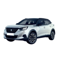 Peugeot 2008 SUV  2020 - Current (P24)