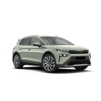 Skoda Elroq  2025 - Current
