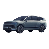 Hyundai IONIQ 9  2025 - Current